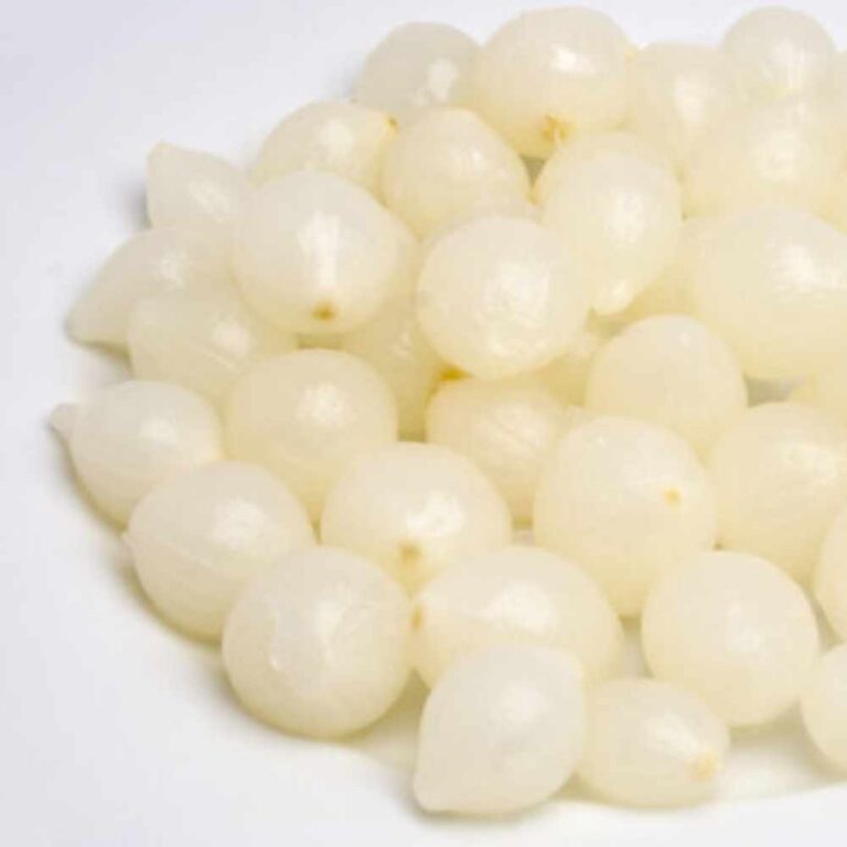 PICKLED BABY ONIONS IN VINEGAR Bottega Mediterrane