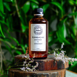 BOTTEGA LAVENDER & LEMONADE KOMBUCHA