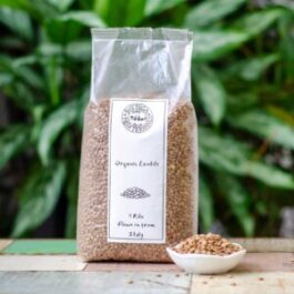 BOTTEGA ORGANIC LENTILS 1KG