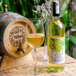 Bottega Bianchetto Chardonnay
